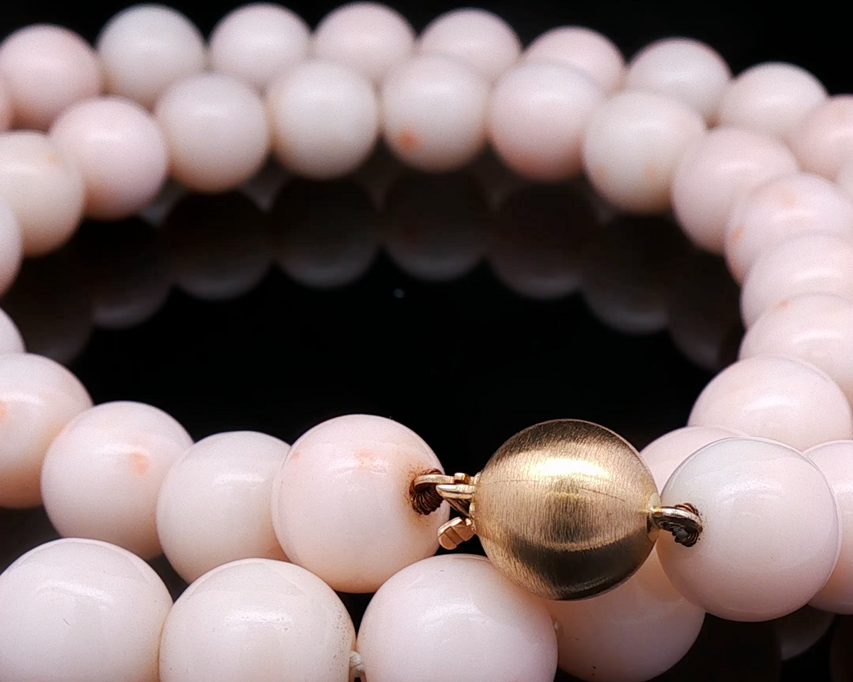 Angel Skin Coral