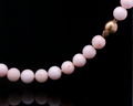 Angel Skin Coral