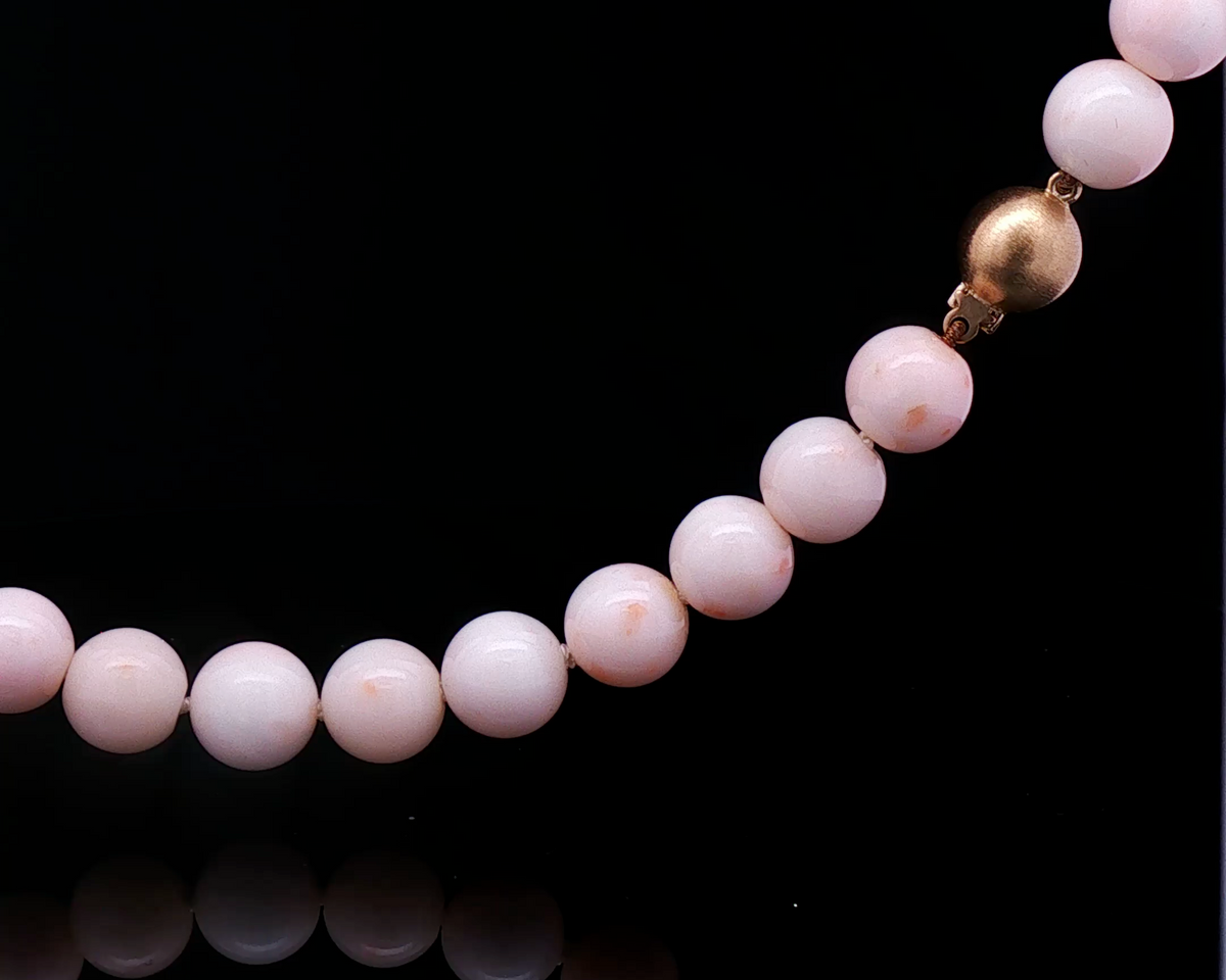 Angel Skin Coral