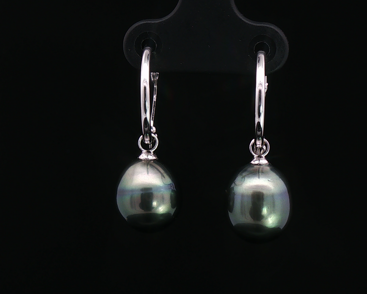 Tahitian Pearl Hoops