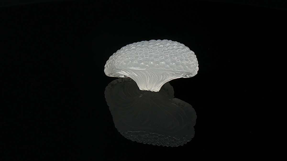 Moon Cap
