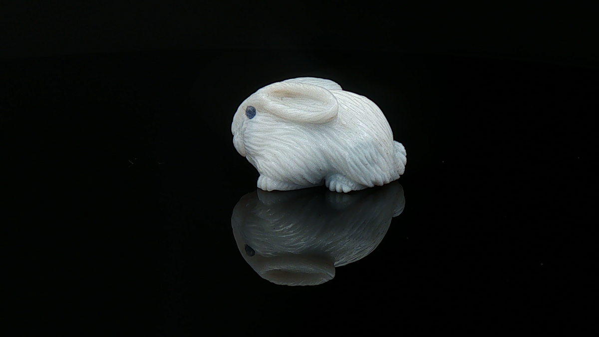 Potch Bunny