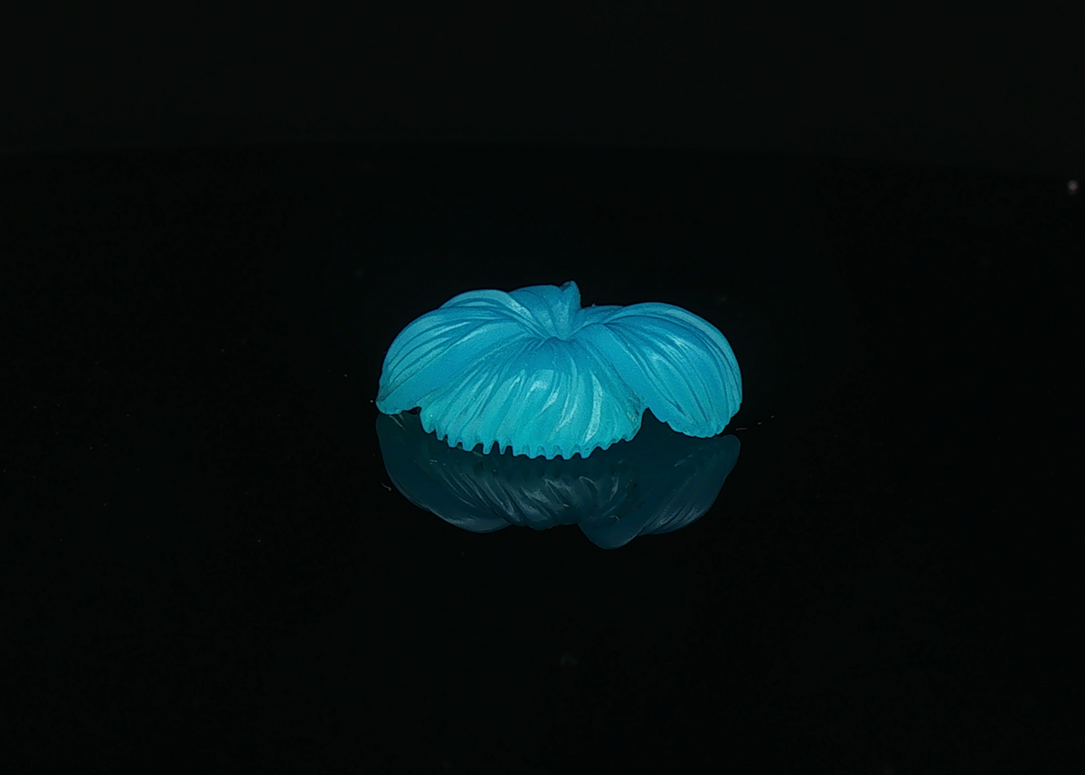 Neon Bloom
