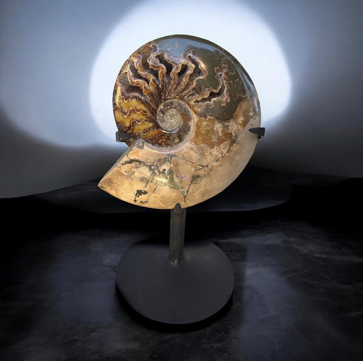 Spiral of Time