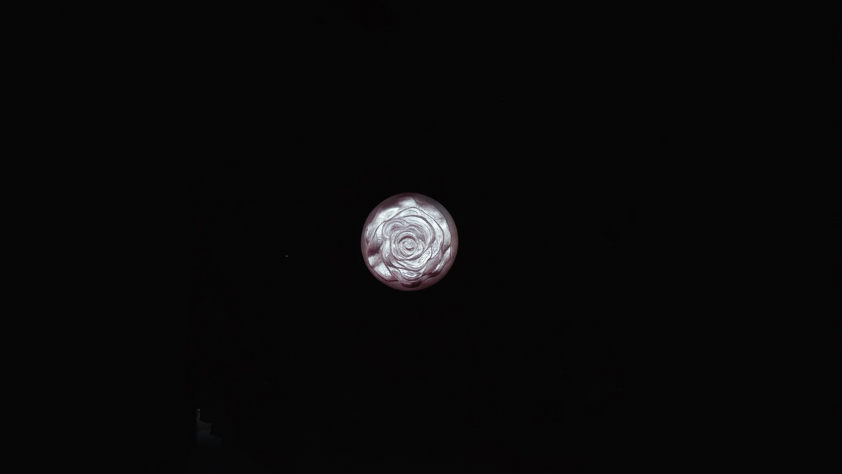 Moonlit Rose