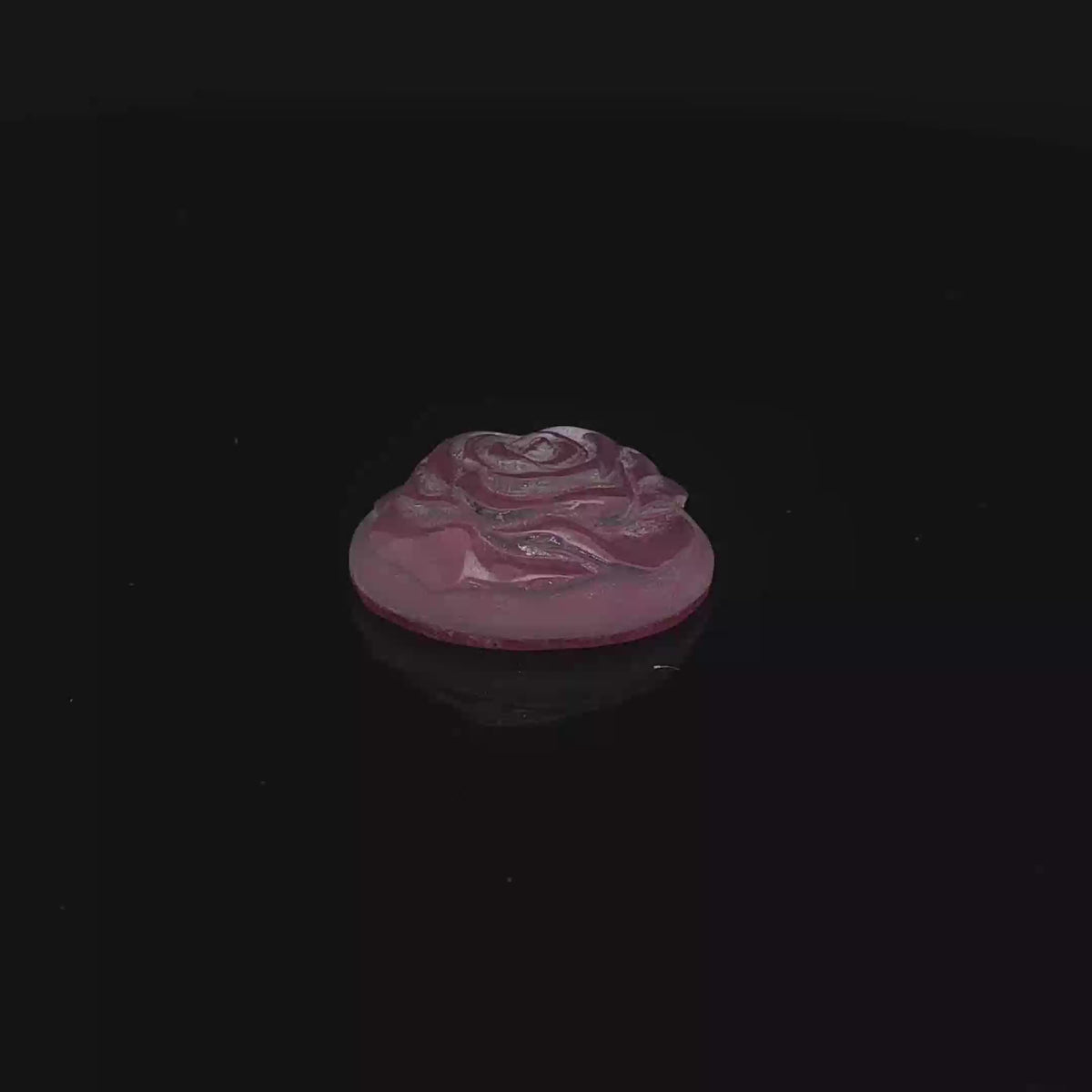 Moonlit Rose